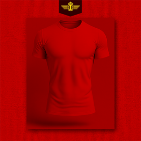 Camisetas Ejército del Aire